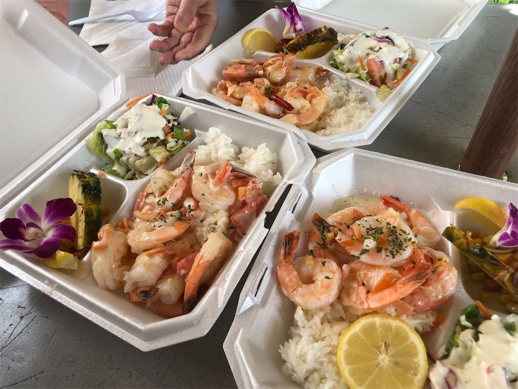 f:id:blueocchi:20190228191512j:image