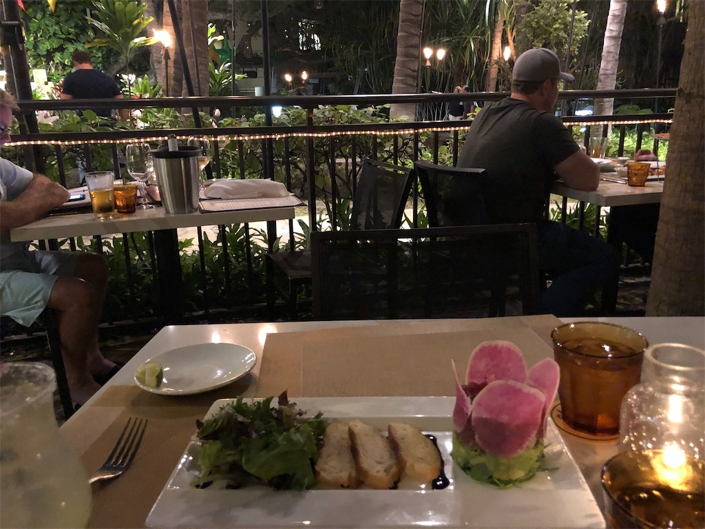 f:id:blueocchi:20190228191525j:image