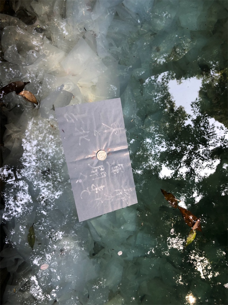 f:id:blueocchi:20190621212001j:image f:id:blueocchi:20190621212001j:image