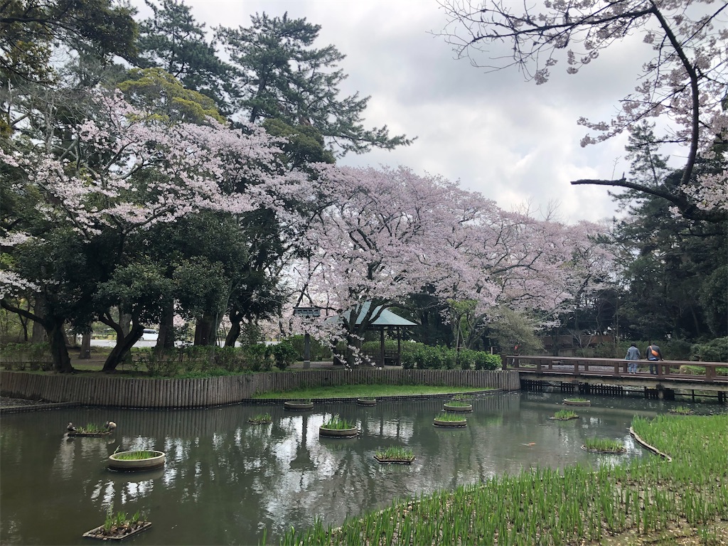 f:id:blueocchi:20190621212008j:image f:id:blueocchi:20190621212008j:image