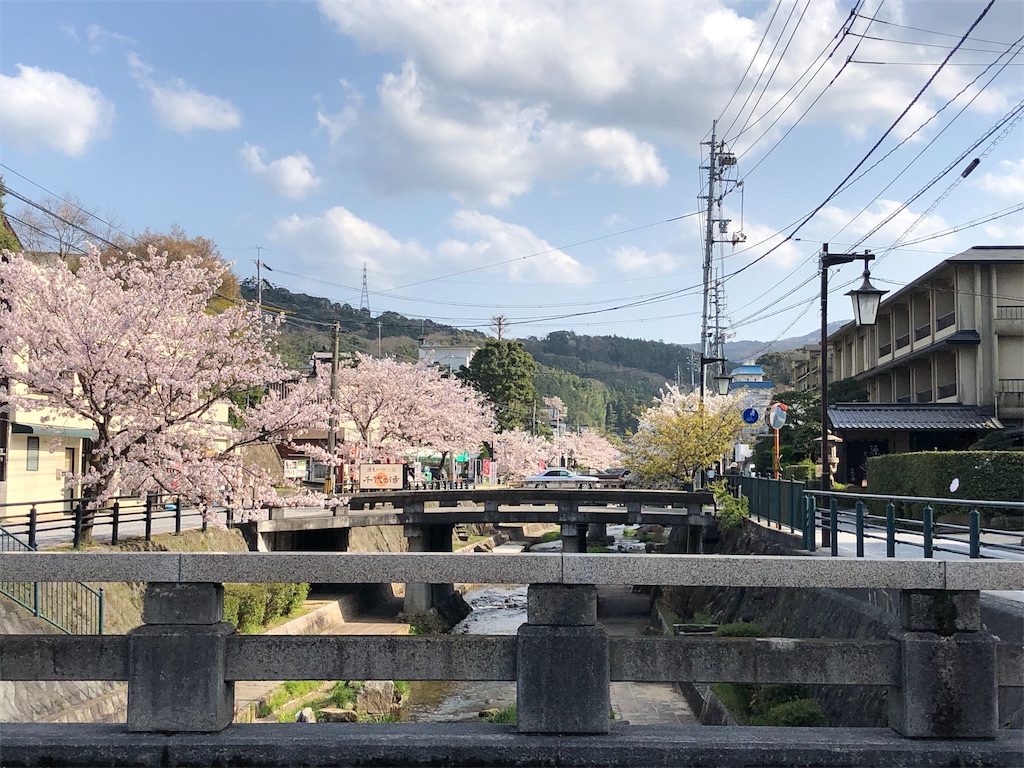 f:id:blueocchi:20190621212011j:image f:id:blueocchi:20190621212011j:image