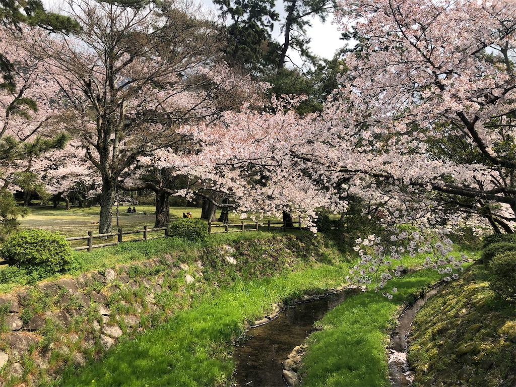 f:id:blueocchi:20190621212016j:image f:id:blueocchi:20190621212016j:image