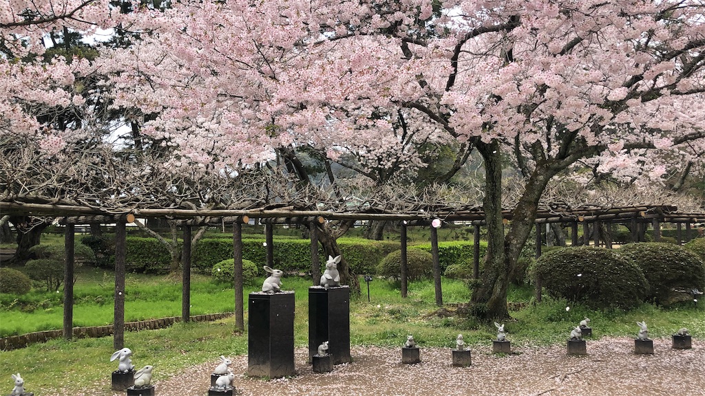 f:id:blueocchi:20190621212021j:image f:id:blueocchi:20190621212021j:image