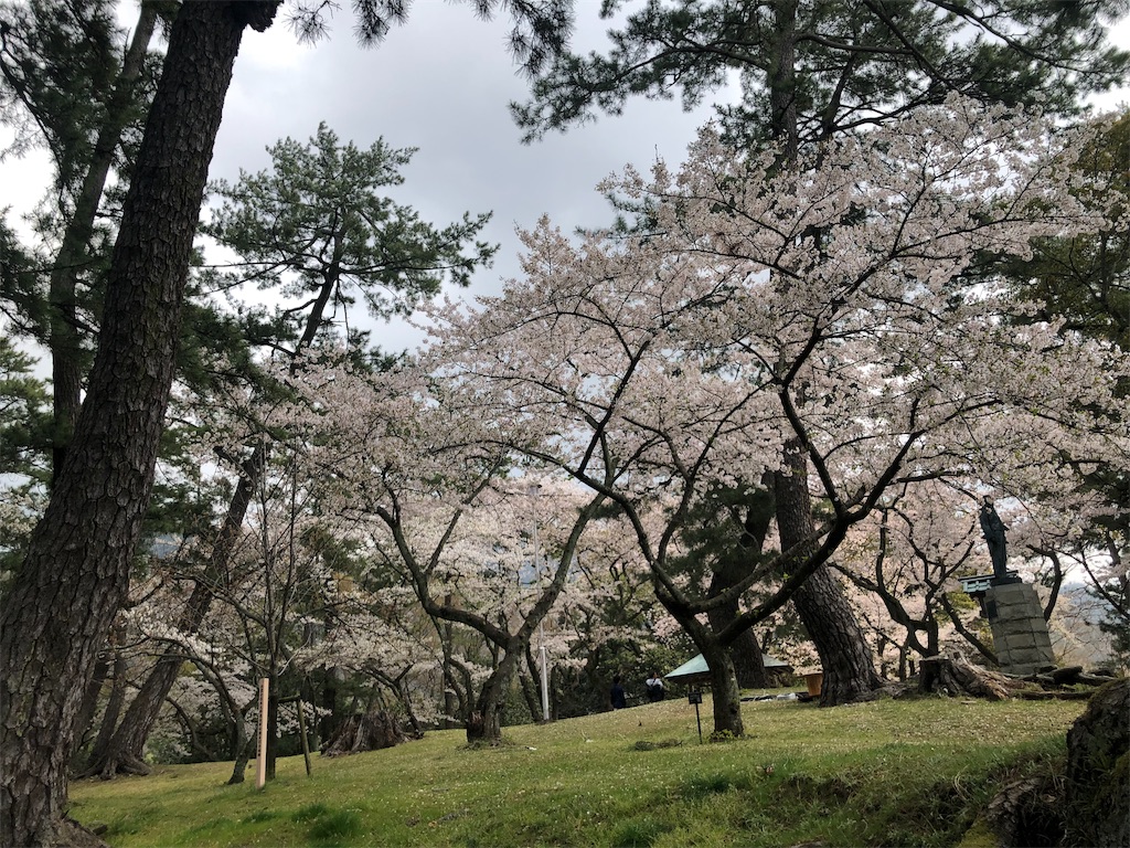 f:id:blueocchi:20190621212036j:image f:id:blueocchi:20190621212036j:image