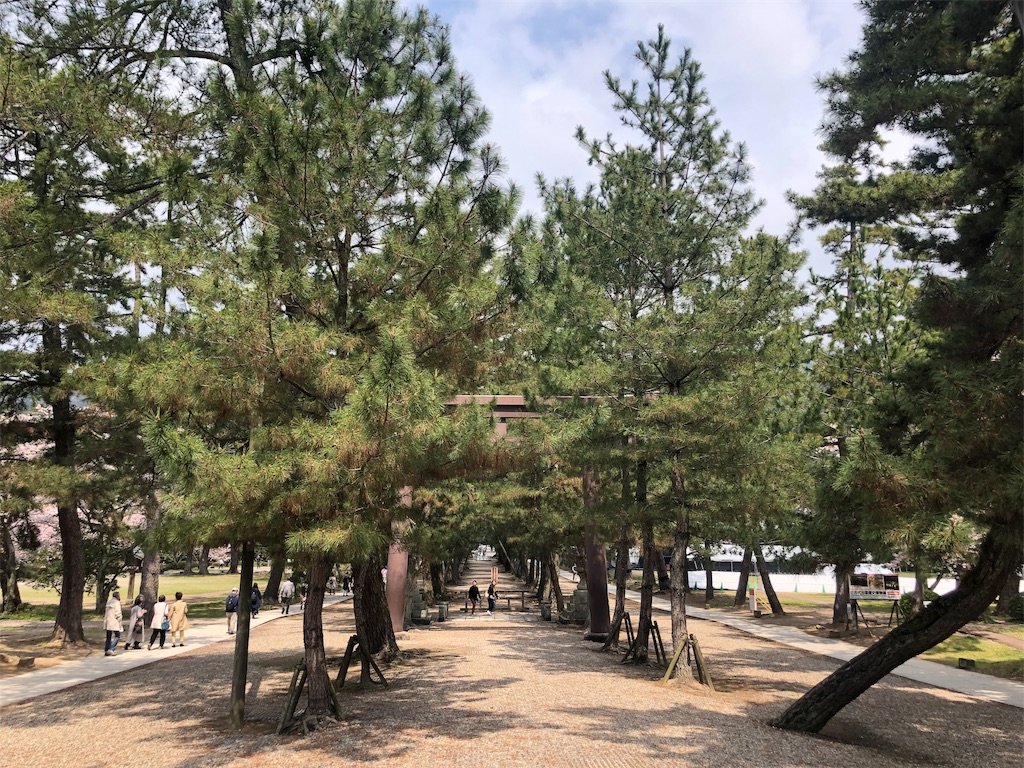 f:id:blueocchi:20190621212040j:image f:id:blueocchi:20190621212040j:image