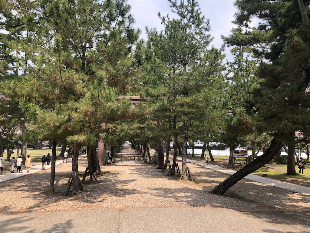 f:id:blueocchi:20190621212050j:image f:id:blueocchi:20190621212050j:image