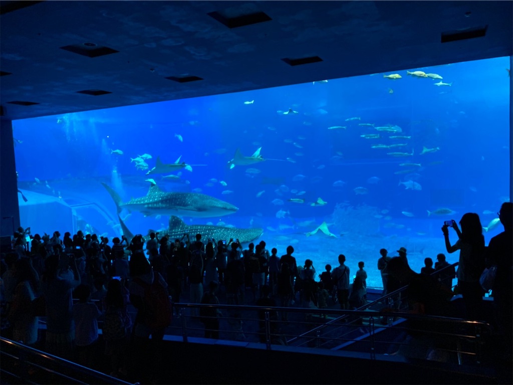 f:id:blueocchi:20190804104051j:image