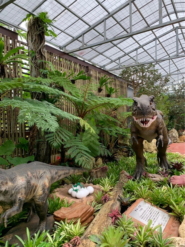 f:id:blueocchi:20190804104138j:image