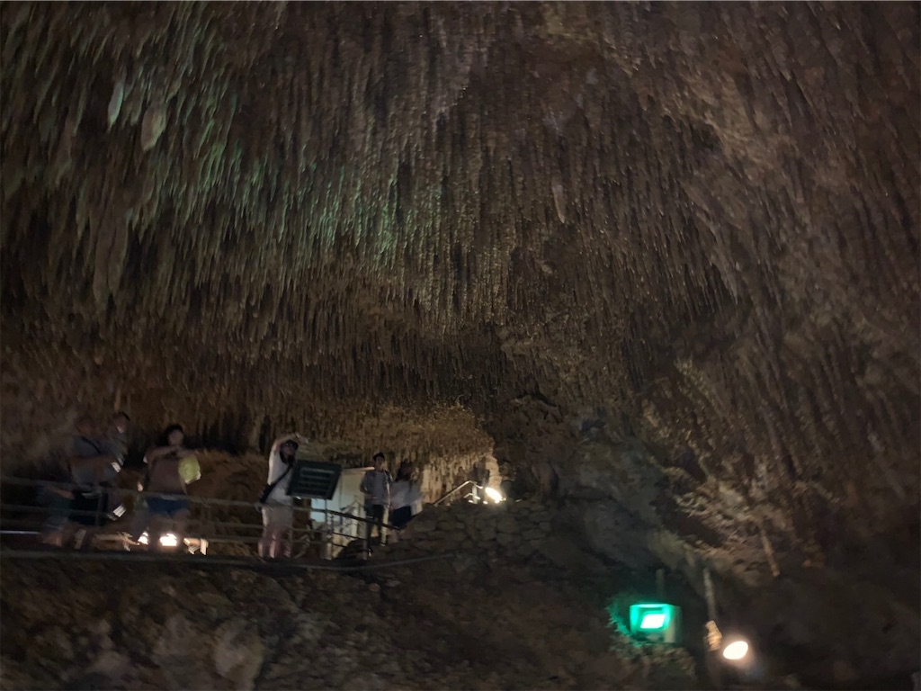 f:id:blueocchi:20190804104228j:image