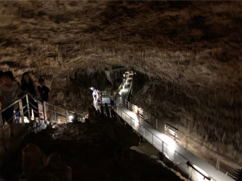 f:id:blueocchi:20190804104312j:image