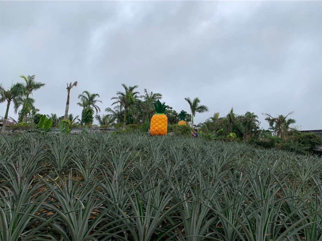 f:id:blueocchi:20190804104316j:image