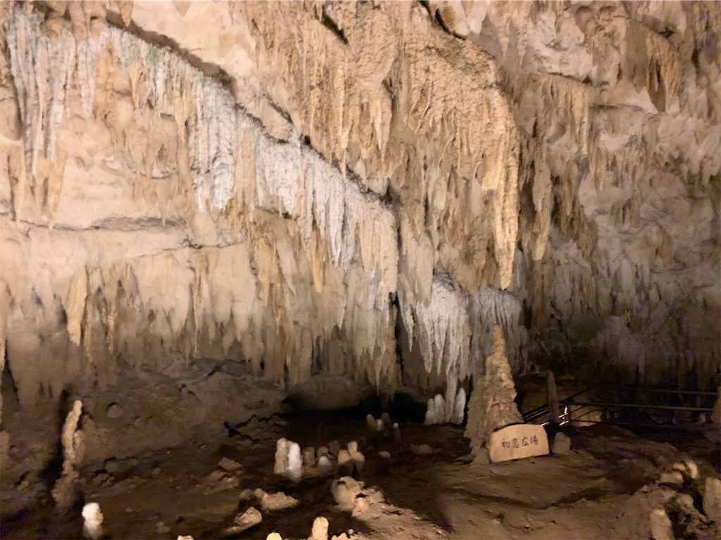 f:id:blueocchi:20190804104404j:image