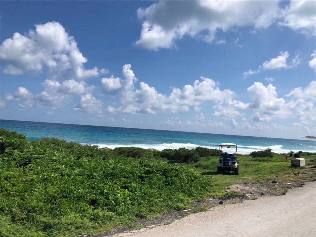 f:id:blueocchi:20191201202309j:image