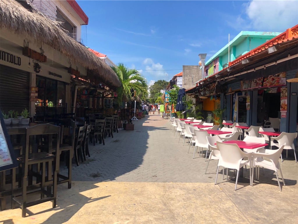 f:id:blueocchi:20191201202315j:image