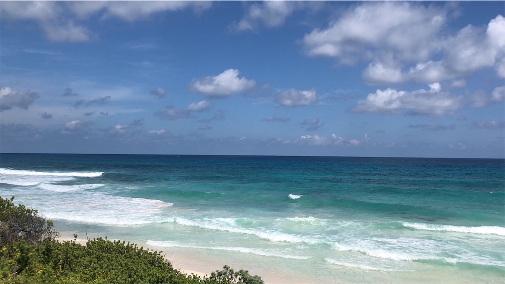 f:id:blueocchi:20191201202320j:image