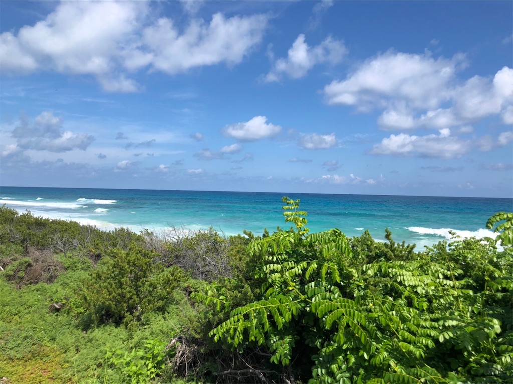 f:id:blueocchi:20191201202344j:image