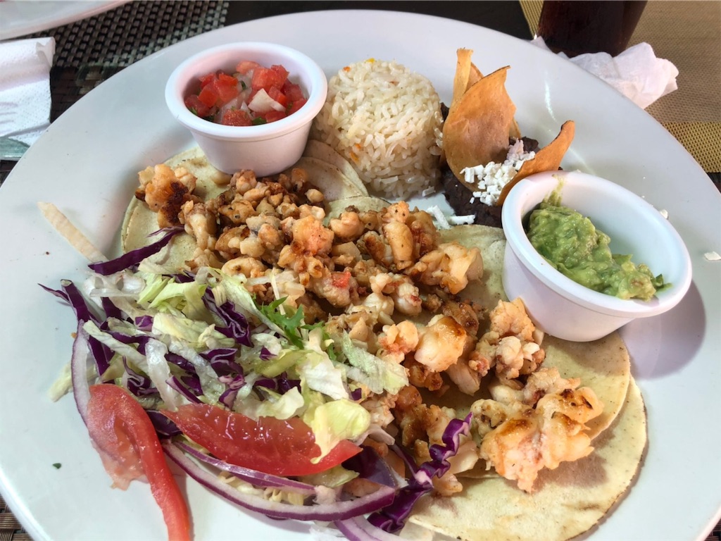 f:id:blueocchi:20191201203129j:image