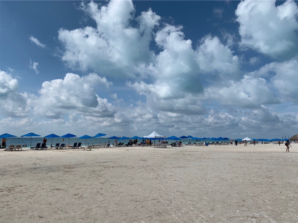 f:id:blueocchi:20191201203257j:image