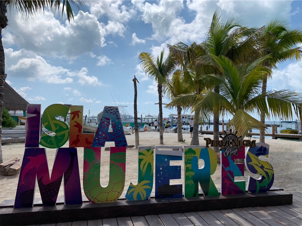 f:id:blueocchi:20191201203302j:image