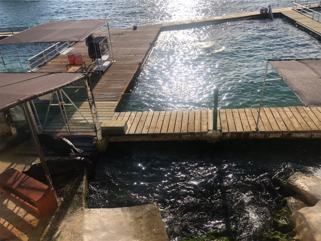 f:id:blueocchi:20191201203345j:image