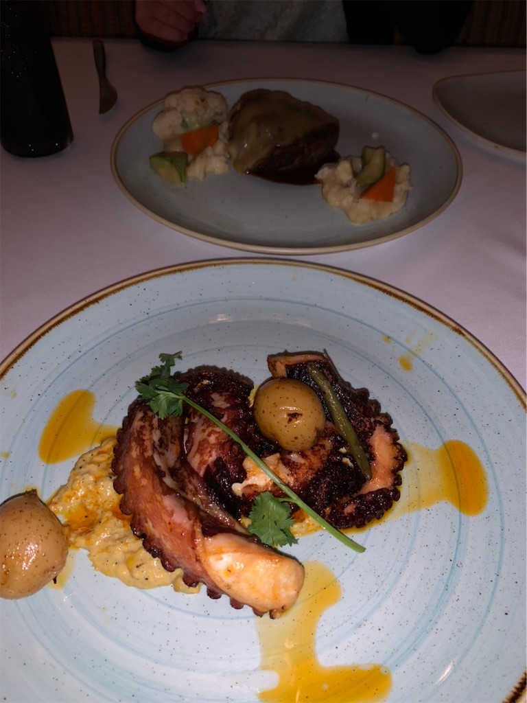 f:id:blueocchi:20191201203628j:image