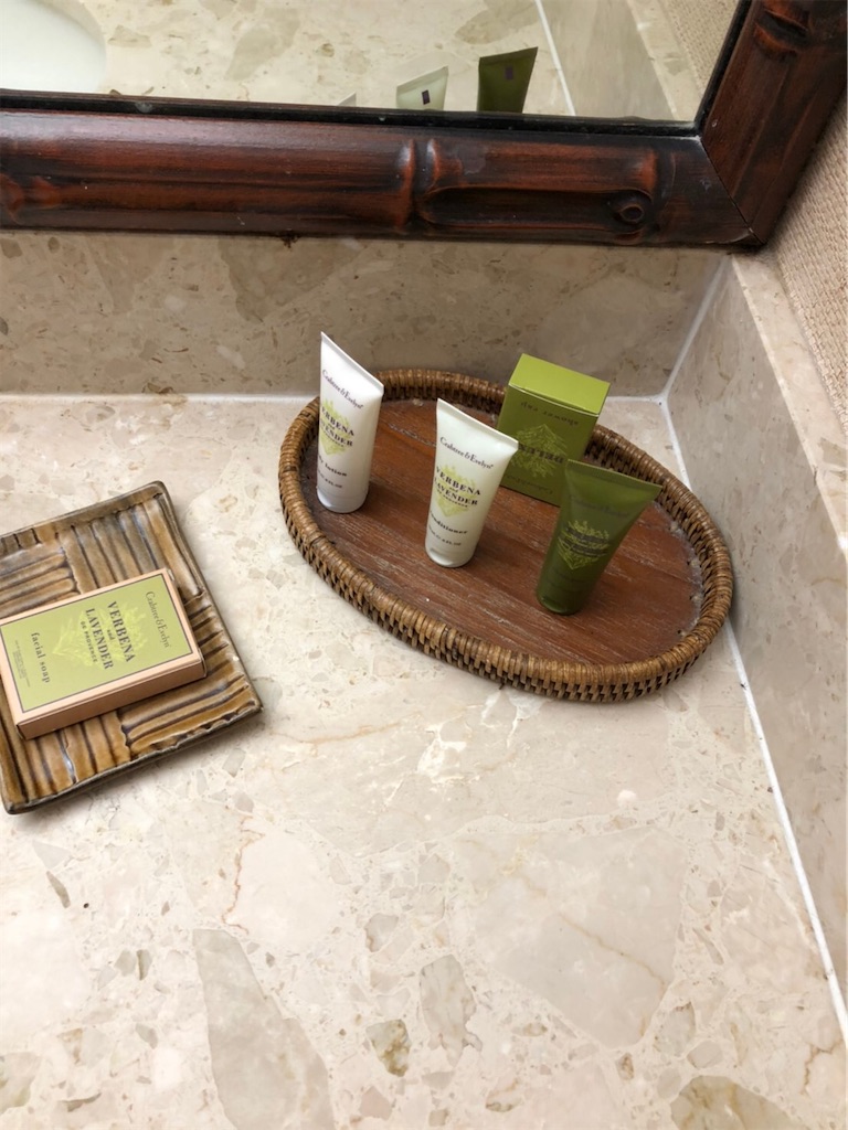 f:id:blueocchi:20200303130726j:image