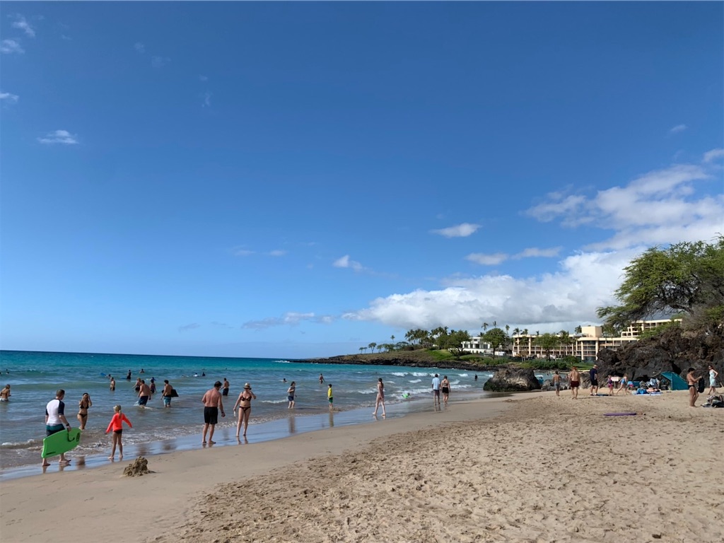 f:id:blueocchi:20200303132153j:image