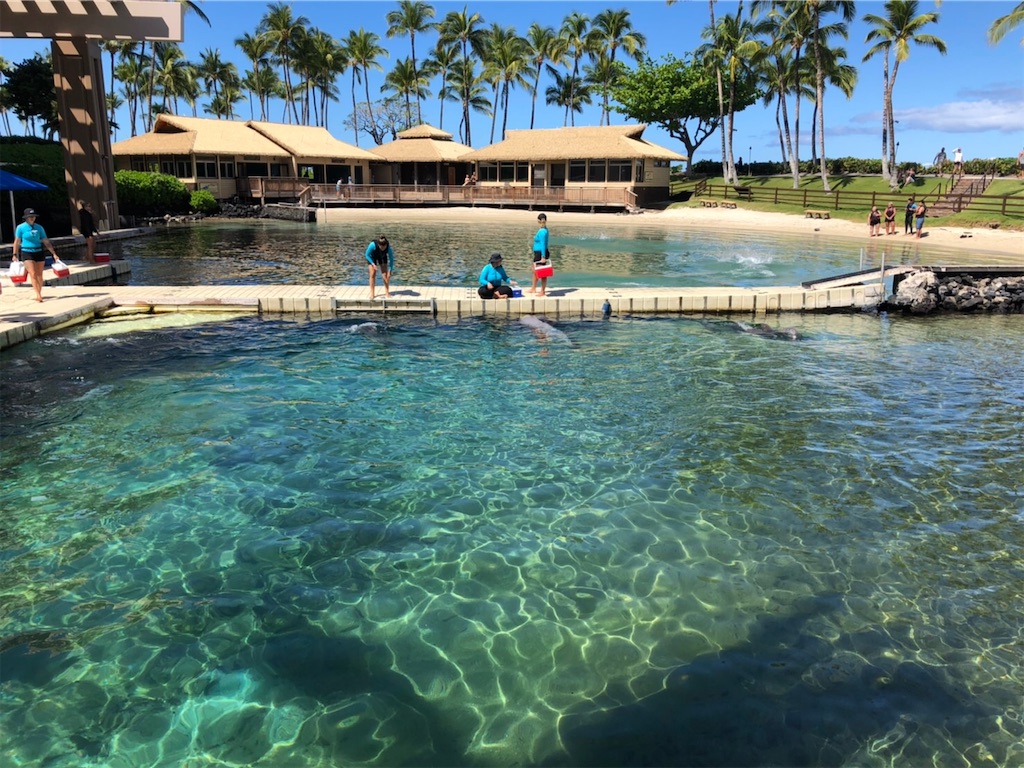 f:id:blueocchi:20200303132942j:image