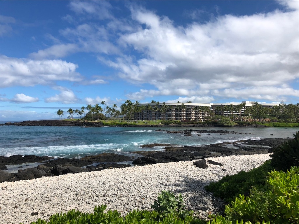 f:id:blueocchi:20200303132953j:image