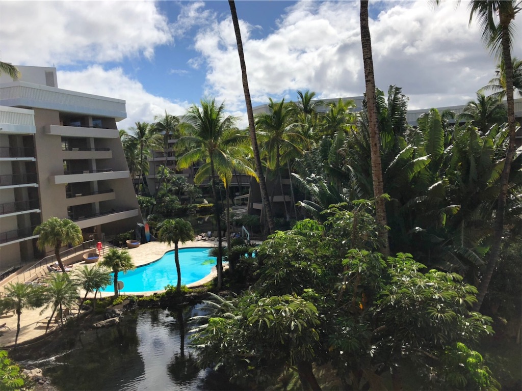 f:id:blueocchi:20200303133037j:image