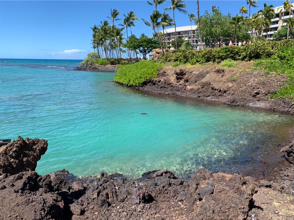 f:id:blueocchi:20200303135250j:image