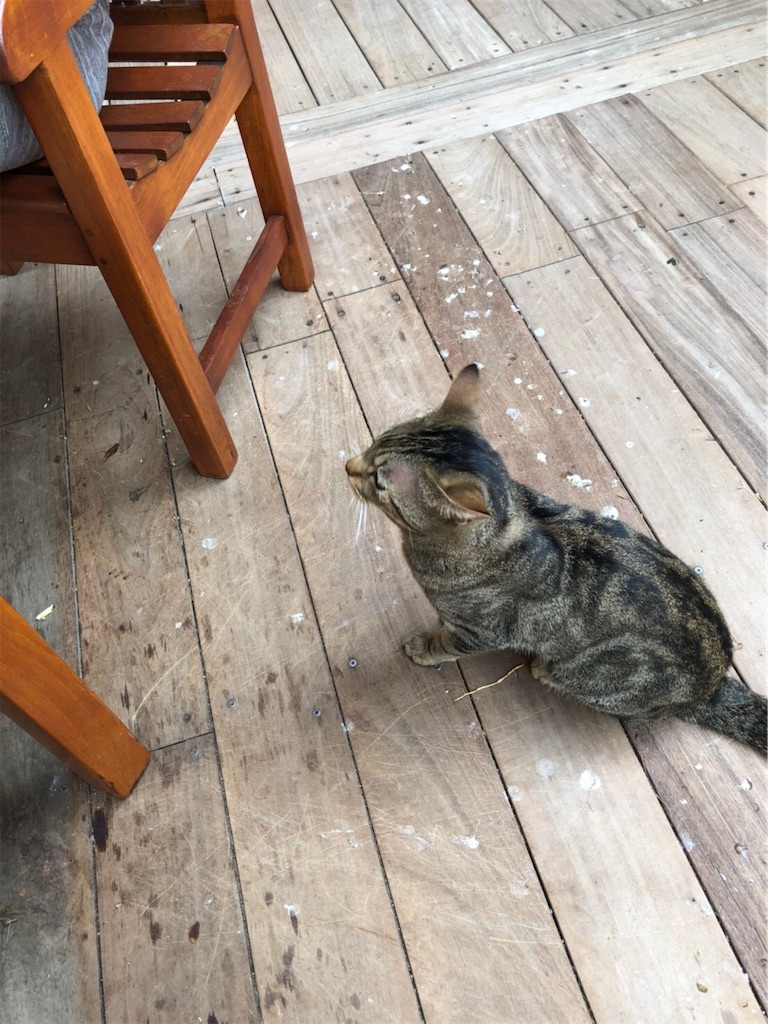 f:id:blueocchi:20200303135531j:image