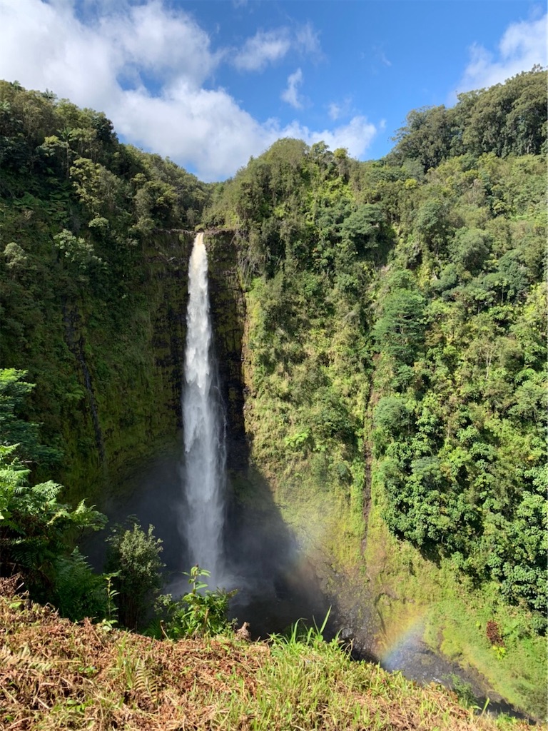 f:id:blueocchi:20200303140721j:image