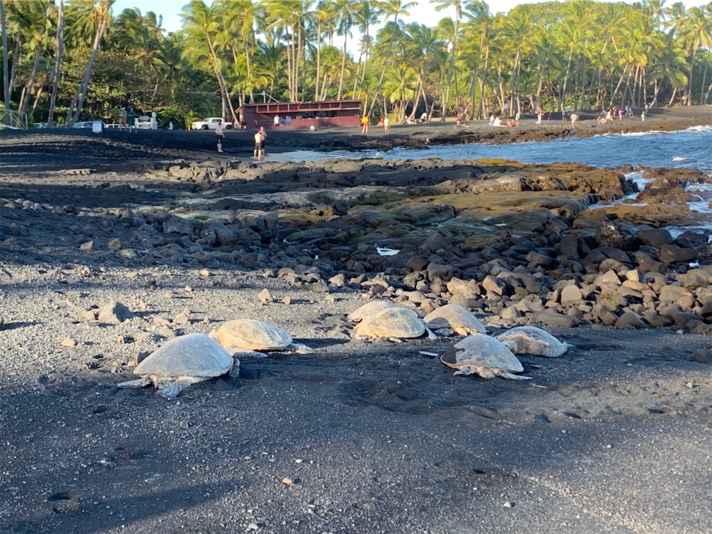 f:id:blueocchi:20200303140732j:image