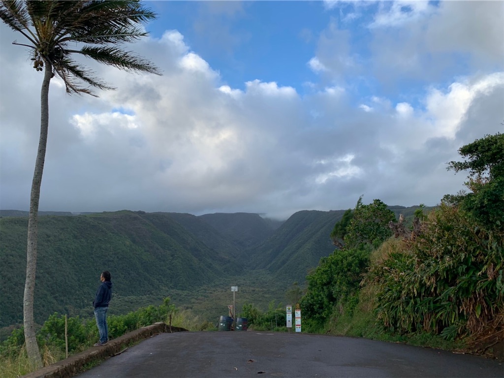 f:id:blueocchi:20200303140740j:image