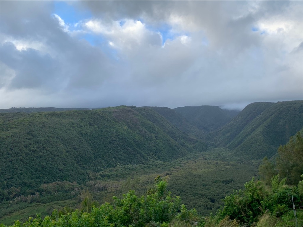 f:id:blueocchi:20200303140801j:image