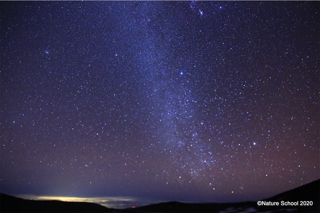 f:id:blueocchi:20200303163350j:image