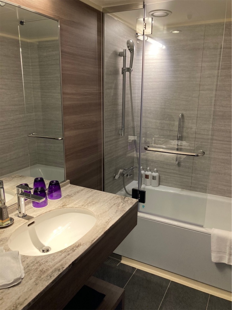 f:id:blueocchi:20210728153318j:image