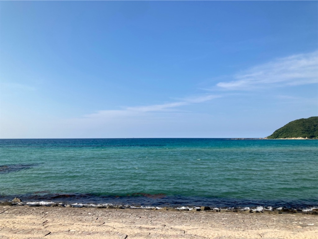 f:id:blueocchi:20210728154243j:image