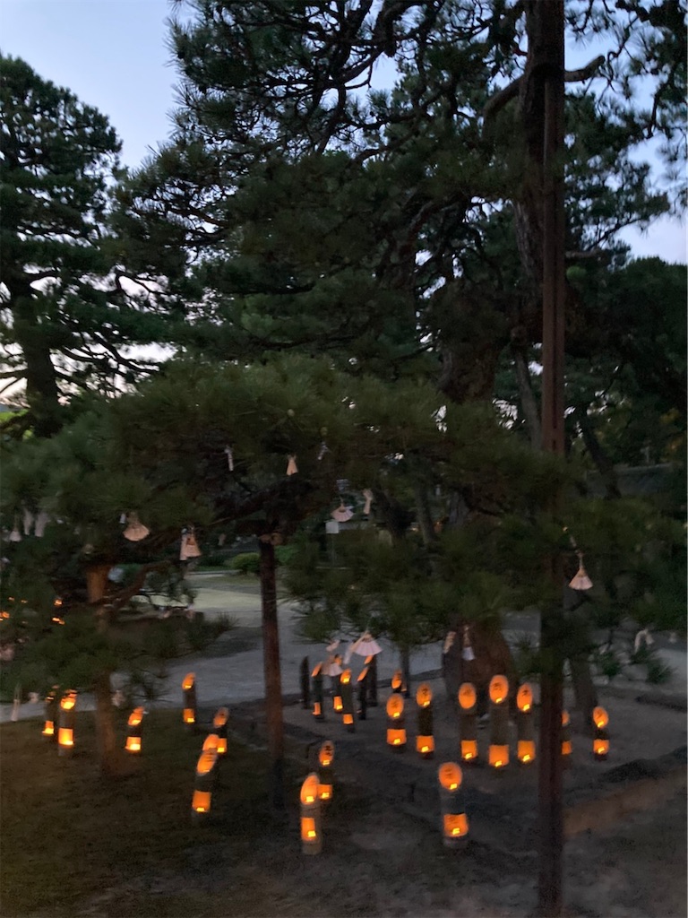 f:id:blueocchi:20210728155009j:image