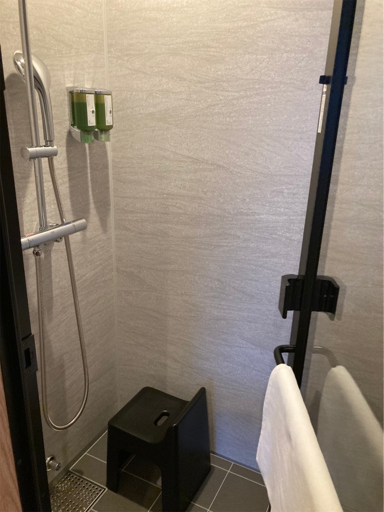 f:id:blueocchi:20210728155012j:image