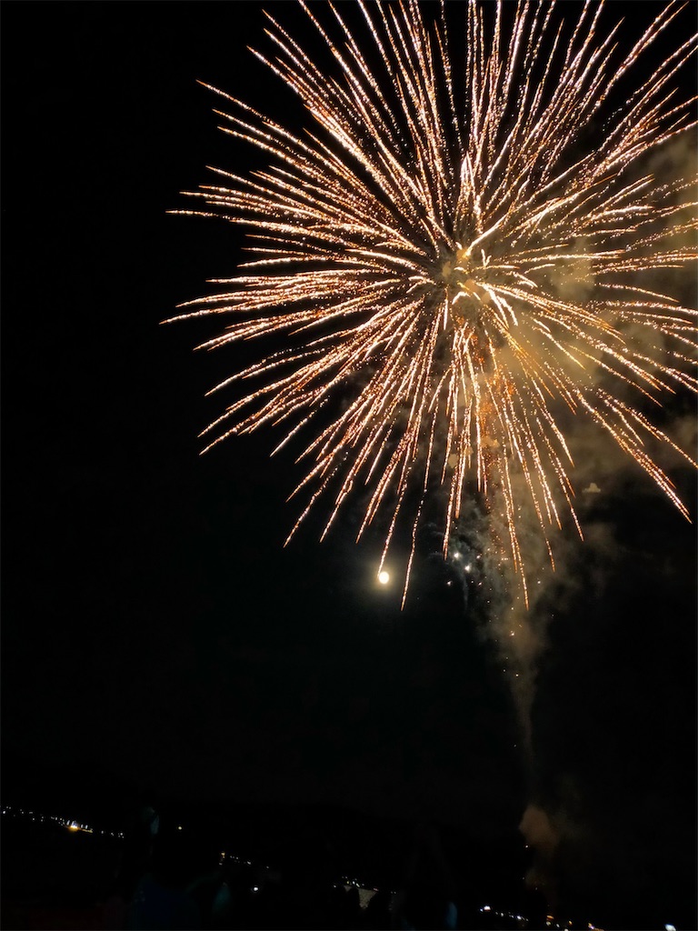 f:id:blueocchi:20210728155051j:image