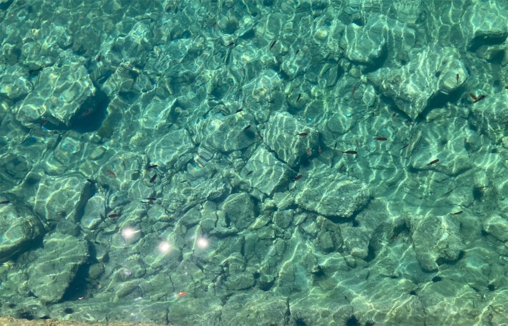 f:id:blueocchi:20210728155500j:image