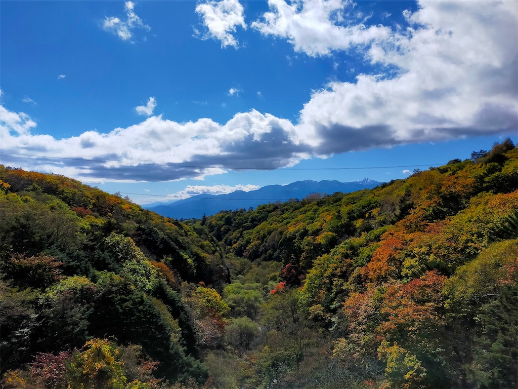 f:id:blueocchi:20211025142823j:image