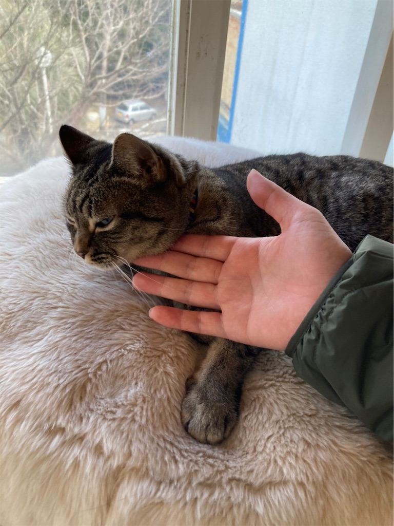 f:id:blueocchi:20220314141647j:image f:id:blueocchi:20220314141647j:image