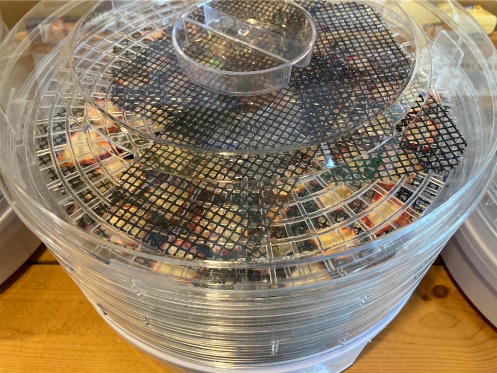 f:id:blueocchi:20220314141649j:image f:id:blueocchi:20220314141649j:image