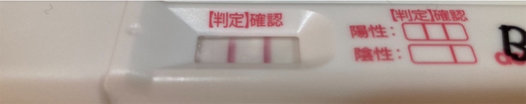 f:id:blueocchi:20220319135922j:image