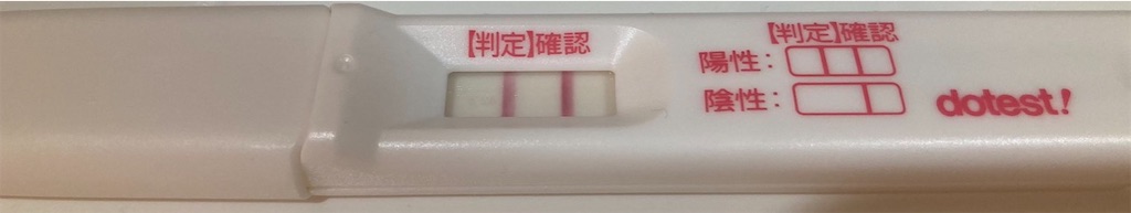 f:id:blueocchi:20220319135925j:image