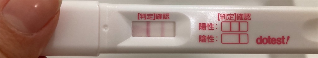 f:id:blueocchi:20220319141253j:image