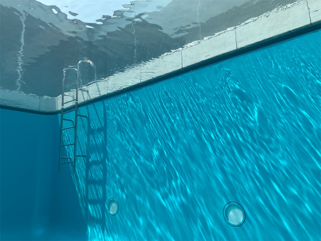 f:id:blueocchi:20220720155550j:image f:id:blueocchi:20220720155550j:image